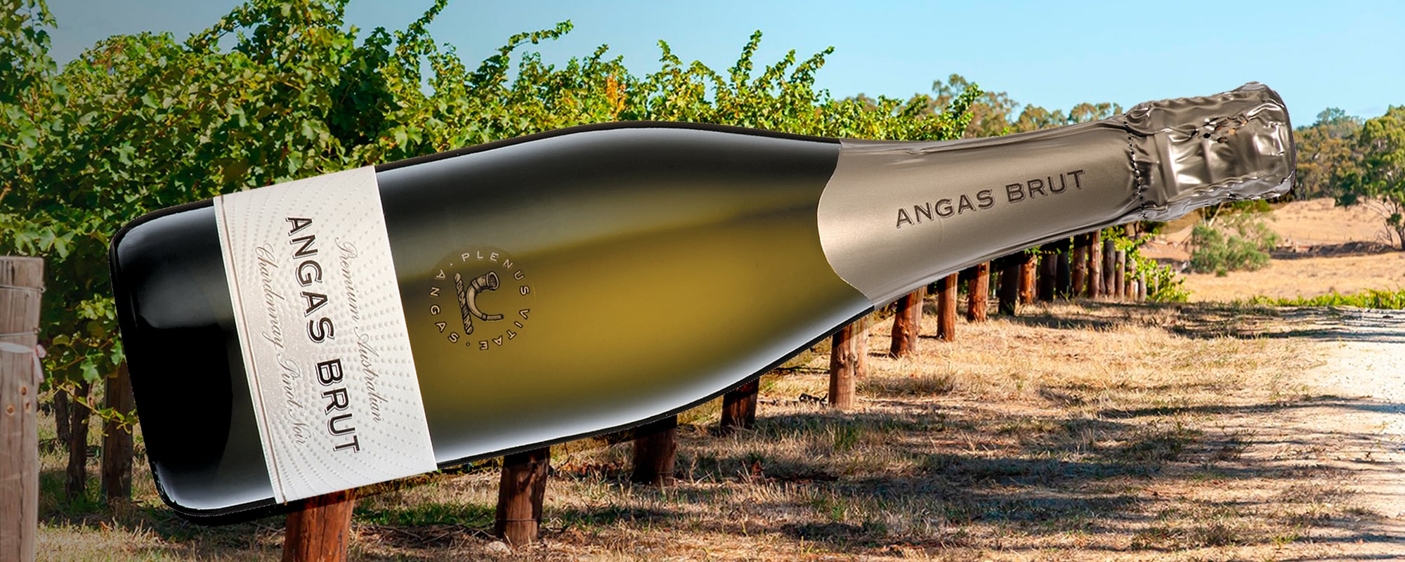 https://www.vinocorpperu.com/images/bodegas/angas/angaslandscape-min.jpg