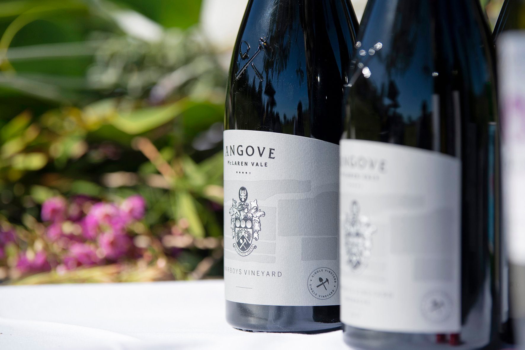 https://www.vinocorpperu.com/images/bodegas/angove/ARTESANAL-min.jpg