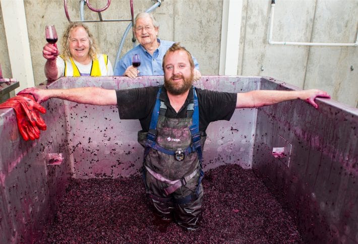 https://www.vinocorpperu.com/images/bodegas/darenberg/The-Wine-Viticulture-and-Winemaking-The-Winemaking-710x484-min.jpg