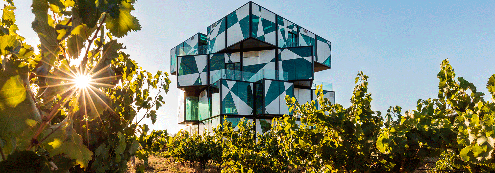 https://www.vinocorpperu.com/images/bodegas/darenberg/darenberglandscape.png