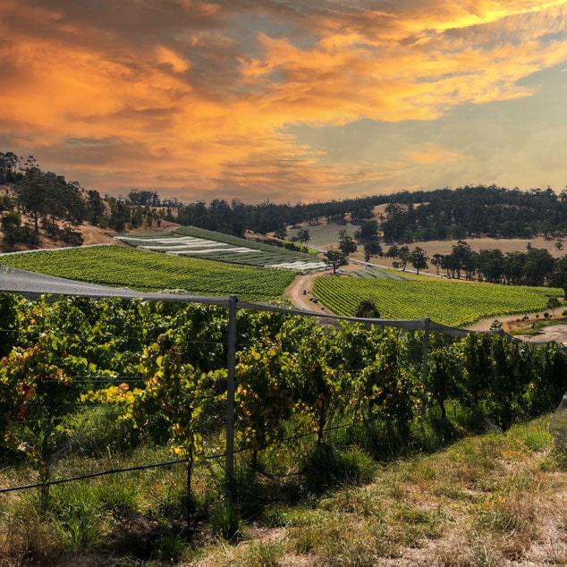 https://www.vinocorpperu.com/images/bodegas/jansz/CoalRiverValley-min.jpg