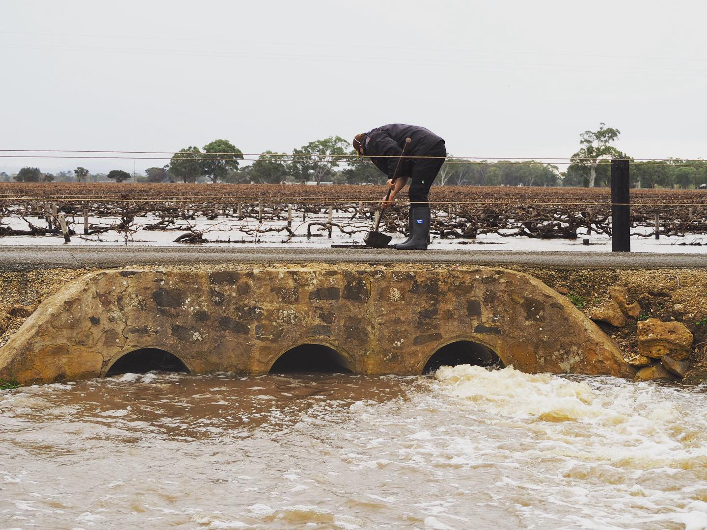 https://www.vinocorpperu.com/images/bodegas/lakebreeze/inundacion-min.jpg