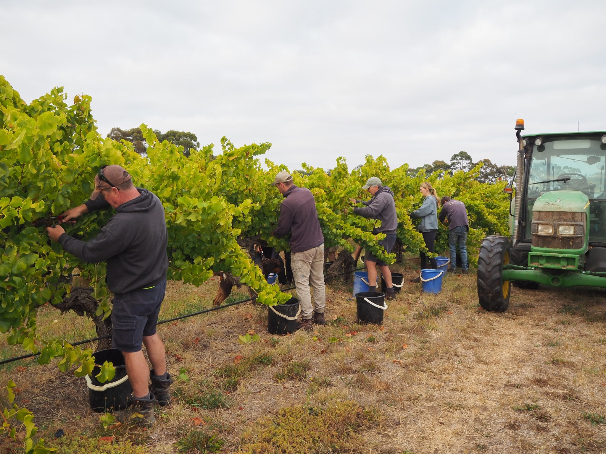 https://www.vinocorpperu.com/images/bodegas/lakebreeze/orgullosos-min.jpg