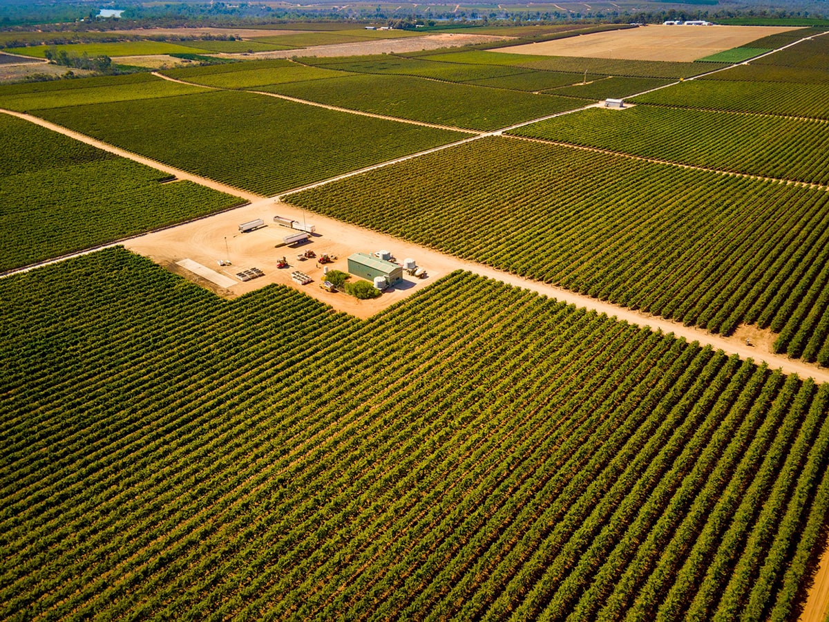 https://www.vinocorpperu.com/images/bodegas/oxfordlanding/300-hectares-of-vines-min.jpg