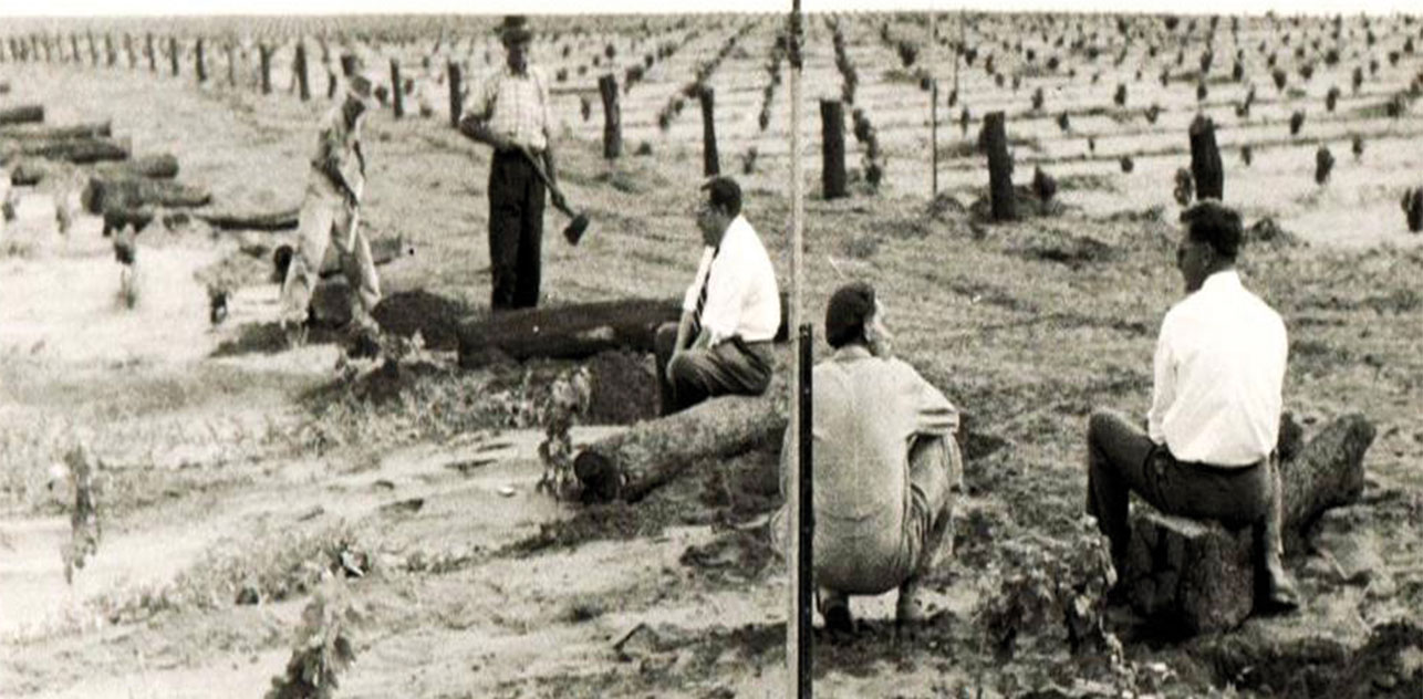 https://www.vinocorpperu.com/images/bodegas/oxfordlanding/Inicios-min.jpg