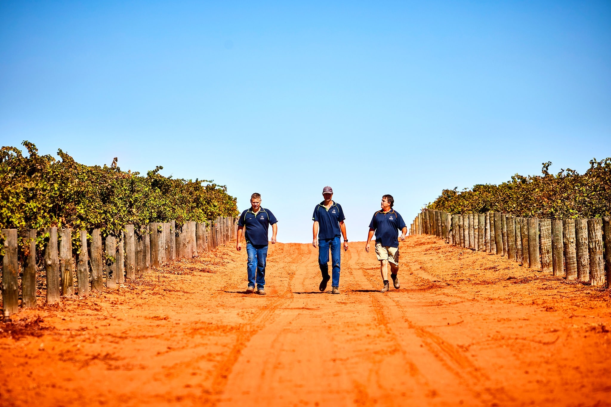 https://www.vinocorpperu.com/images/bodegas/oxfordlanding/PRESENTACION-min.jpg