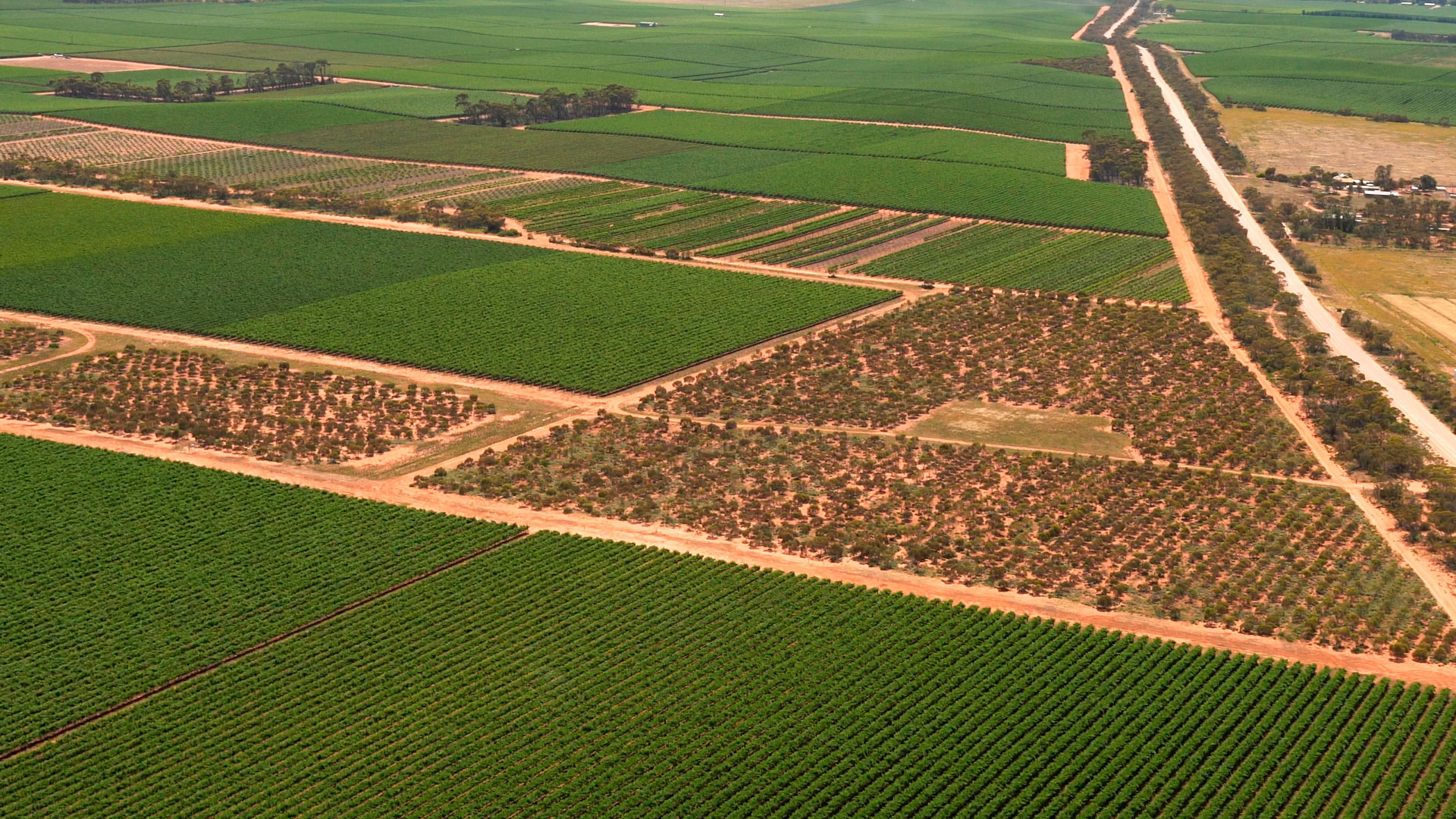 https://www.vinocorpperu.com/images/bodegas/oxfordlanding/REVEGETACION-min.jpg