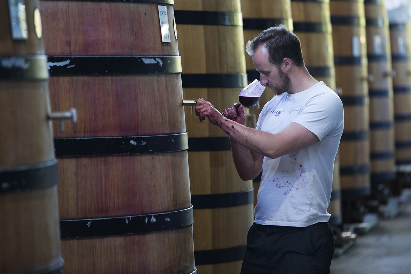 https://www.vinocorpperu.com/images/bodegas/yalumba/Enologia-min.jpg